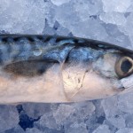 Eating oily fish protects vision