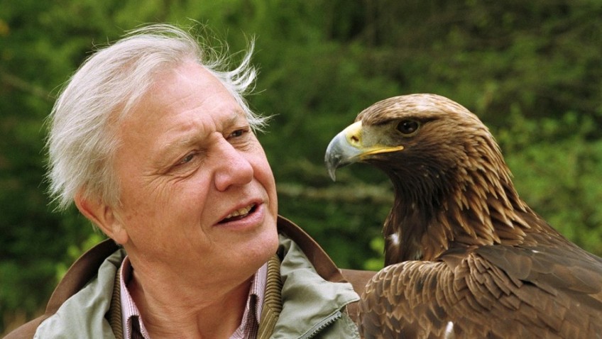 Sir David Attenborough revealed as the nation’s favourite TV personality