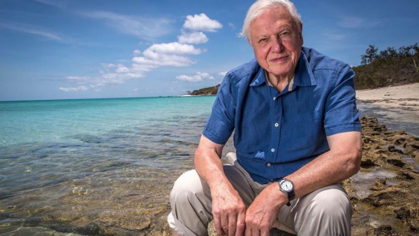 Sir David Attenborough: And now for something completely different