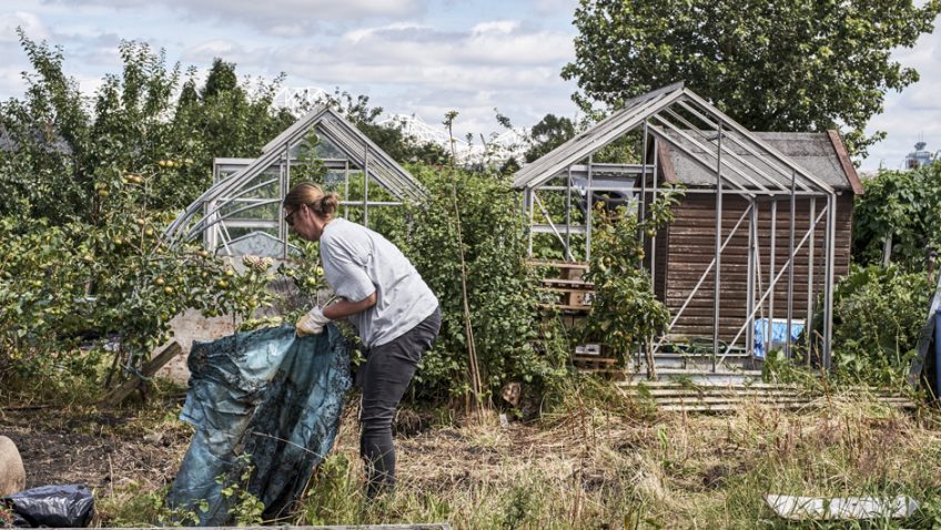 Experiences of volunteering in later life