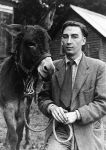 Bransby Horses