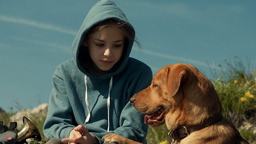 White God is the best film with ‘dog’ in the title since Amores Perros