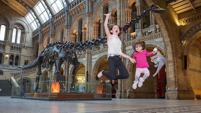 Dippy on tour: A Natural History Adventure