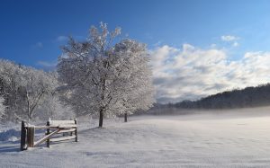 Snow scene - Free for commercial use - No attribution required - Credit Pixabay