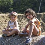 Carla Simón evokes a six-year-old’s traumatic summer with uncanny precision