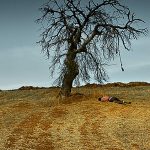 Nuri Bilge Ceylan returns with a sublime coming-of-age odyssey and another masterpiece