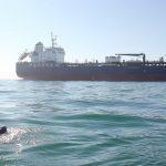 Professor Andy Wolf swimming the channel