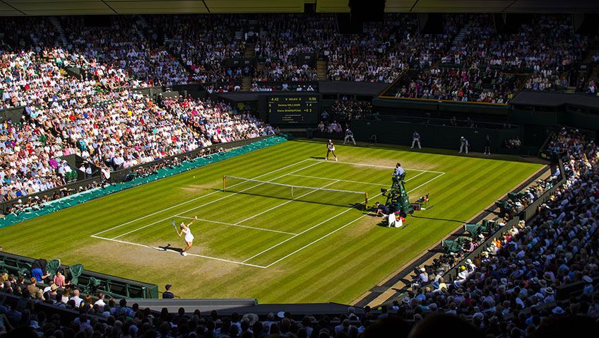 Wimbledon tennis - Free for commercial use No attribution required - Credit Pixabay