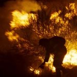 Fire Will Come (March 20, 2020 Cert 12A, 85 mins. (Curzon Home Cinema)