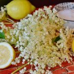 Paula’s Wines of the Week – Week starting 2 June 2020