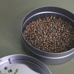 5 Proven Benefits of Hemp Seeds