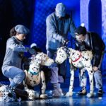 Robert Tanitch reviews 101 Dalmatians at the Open Air Theatre, Regent’s Park, London