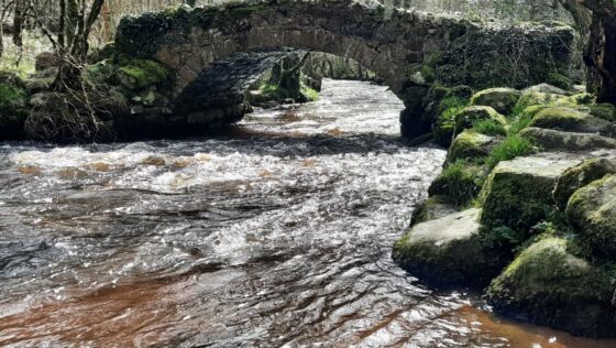 NIGEL HEATH STEPS OUT ON A THREE- DAY DARTMOOR MINIBREAK