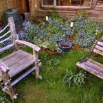 How To Get Your Garden Ready for Sunshine, Guests, And Summer Activities