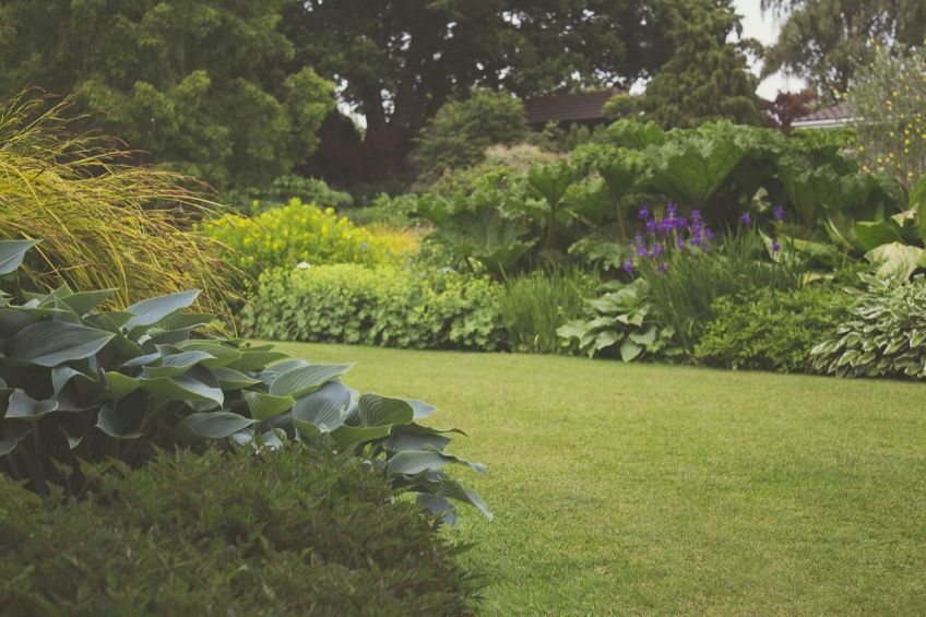 How to make gardening easier and more accessible